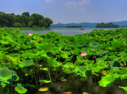 夏天很熱有什么解暑的好方法?2023年夏天最熱的是哪幾天 夏天很熱有什么解暑的好方法?2023年夏天最熱的是哪幾天