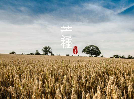 2023年芒種后九天交運怎么算?芒種過后天氣有什么變化 2023年芒種后九天交運怎么算?芒種過后天氣有什么變化