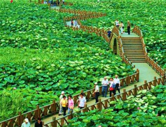 蘇州十大公園排行榜,漕湖濕地公園環(huán)境好、東太湖生態(tài)園風景美 蘇州十大公園排行榜,漕湖濕地公園環(huán)境好、東太湖生態(tài)園風景美