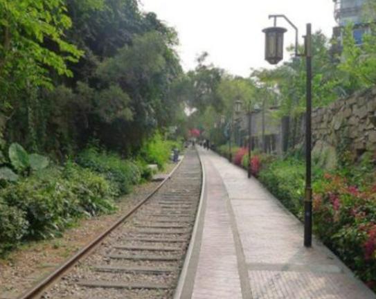 廈門適合情侶玩的地方,白鷺洲公園愜意浪漫、鐵路文化公園繁花似錦 廈門適合情侶玩的地方,白鷺洲公園愜意浪漫、鐵路文化公園繁花似錦