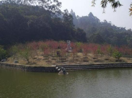 汕頭好玩的地方排行榜,礐石風景名勝區風景絕美、南澳島值得參觀 汕頭好玩的地方排行榜,礐石風景名勝區風景絕美、南澳島值得參觀