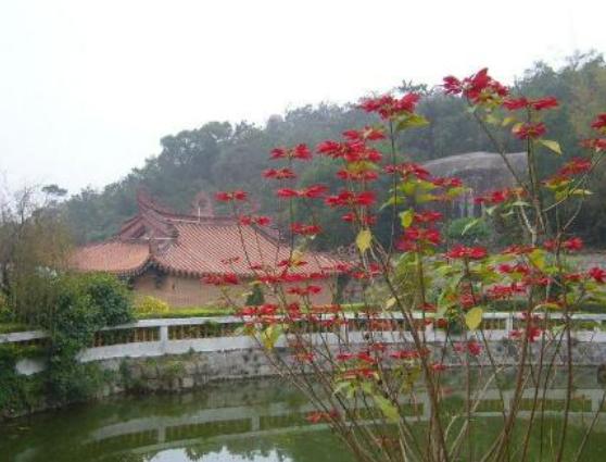 汕頭好玩的地方排行榜,礐石風景名勝區風景絕美、南澳島值得參觀 汕頭好玩的地方排行榜,礐石風景名勝區風景絕美、南澳島值得參觀