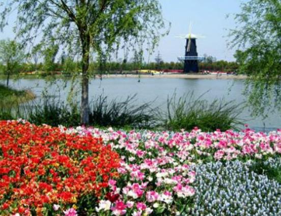 上海值得去的冷門景點,辰山國家植物園、長風海洋世界頗有樂趣 上海值得去的冷門景點,辰山國家植物園、長風海洋世界頗有樂趣