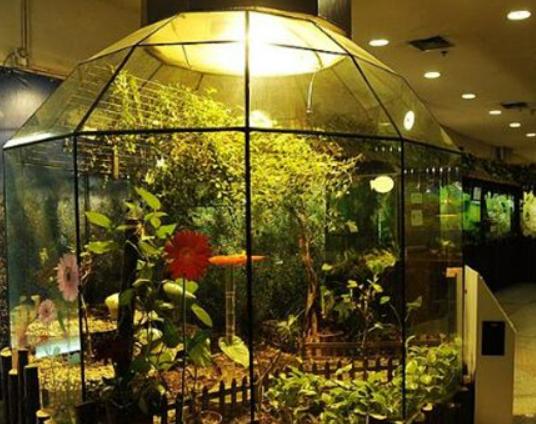 上海值得去的冷門景點,辰山國家植物園、長風海洋世界頗有樂趣 上海值得去的冷門景點,辰山國家植物園、長風海洋世界頗有樂趣