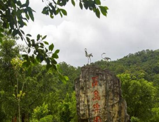 防城港最好玩的地方排名,江山半島景點集中、白浪灘美食豐富 防城港最好玩的地方排名,江山半島景點集中、白浪灘美食豐富