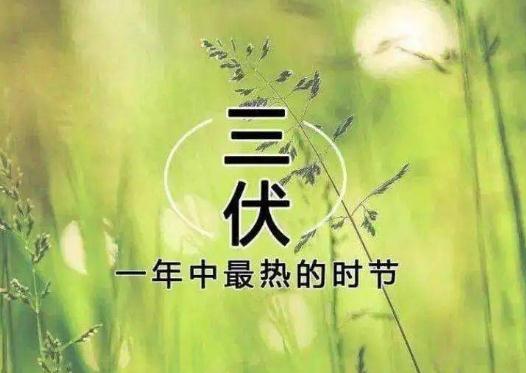 三伏天過了是不是就涼快了?2023年三伏天比2022年三伏天熱嗎 三伏天過了是不是就涼快了?2023年三伏天比2022年三伏天熱嗎