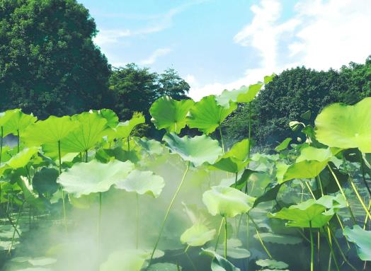 中伏吃什么食物最好?2023年出伏還熱嗎 中伏吃什么食物最好?2023年出伏還熱嗎