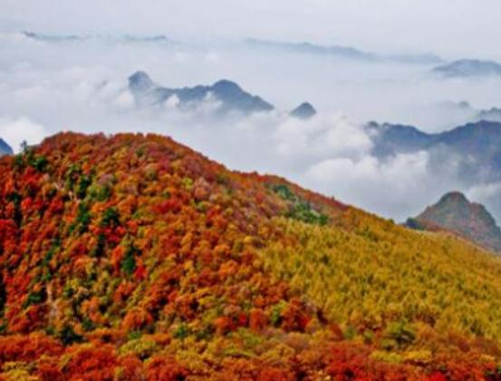 運城最好玩的地方排行榜,永樂宮游玩方便、解州關帝廟值得參觀 運城最好玩的地方排行榜,永樂宮游玩方便、解州關帝廟值得參觀
