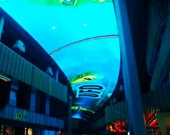 蘇州必去的最浪漫的城市排名,李公堤風景獨特、白象灣頗有一番韻味 蘇州必去的最浪漫的城市排名,李公堤風景獨特、白象灣頗有一番韻味