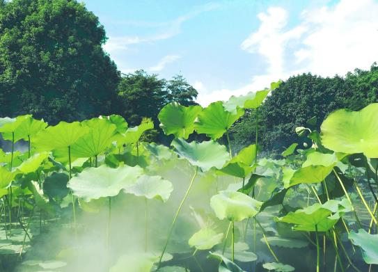 為什么北方夏季越來越熱?為什么北方今年夏天這么熱 為什么北方夏季越來越熱?為什么北方今年夏天這么熱