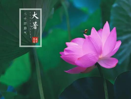 大暑如何養(yǎng)生?大暑過(guò)后天氣有什么變化 大暑如何養(yǎng)生?大暑過(guò)后天氣有什么變化