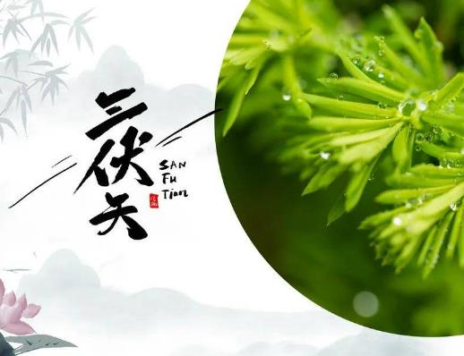 2023年三伏天幾點曬太陽最補陽氣?三伏天女人怎么排寒濕 2023年三伏天幾點曬太陽最補陽氣?三伏天女人怎么排寒濕