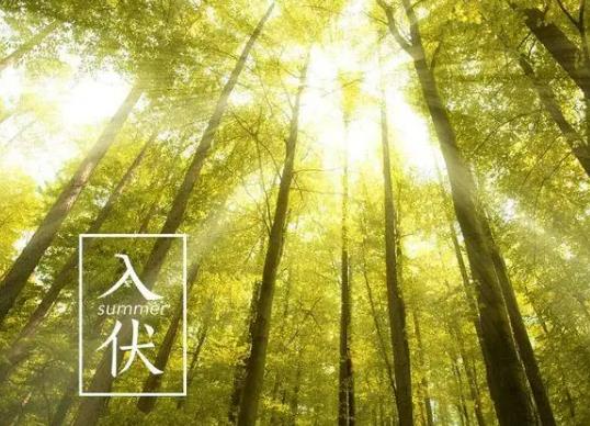 三伏天曬背多久排出體內毒素?三伏天曬背的排寒反應 三伏天曬背多久排出體內毒素?三伏天曬背的排寒反應