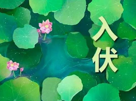 曬背不是在三伏天可以嗎?三伏天曬后背是直接曬還是蓋一層布 曬背不是在三伏天可以嗎?三伏天曬后背是直接曬還是蓋一層布