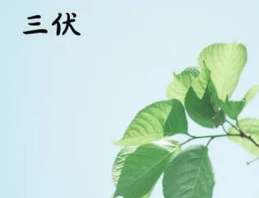 Ҫ^픆Ҫʮ