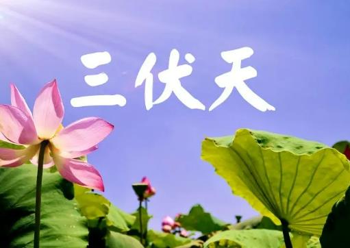 ҪL촩Ч
