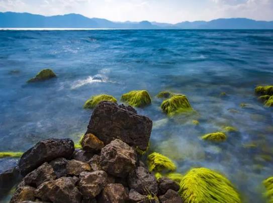 撫仙湖值得一去嗎?撫仙湖水下死尸是真的嗎 撫仙湖值得一去嗎?撫仙湖水下死尸是真的嗎