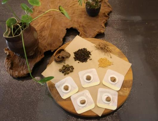 貼三伏貼可以喝奶茶嗎?貼三伏貼可以喝綠豆湯嗎 貼三伏貼可以喝奶茶嗎?貼三伏貼可以喝綠豆湯嗎