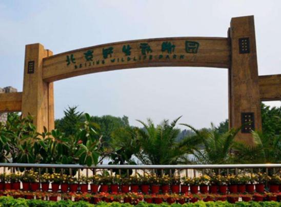 中國十大森林動物園,廣州長隆野生動物園、北京大興野生動物園知名度高 中國十大森林動物園,廣州長隆野生動物園、北京大興野生動物園知名度高