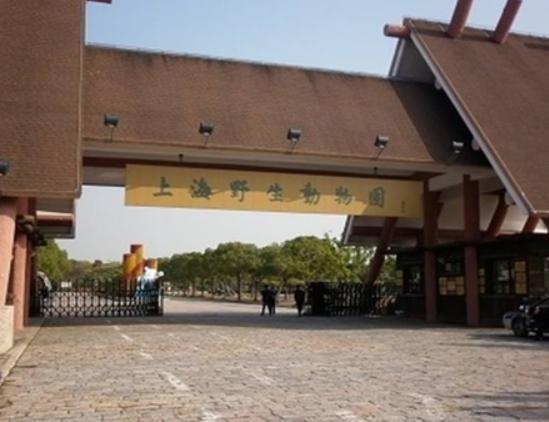 中國十大森林動物園,廣州長隆野生動物園、北京大興野生動物園知名度高 中國十大森林動物園,廣州長隆野生動物園、北京大興野生動物園知名度高