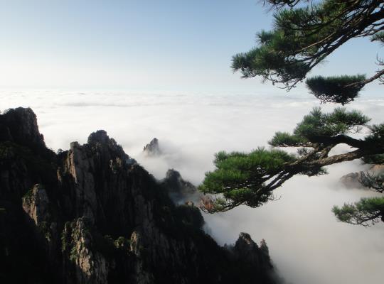 黃山云海出現在什么天氣?黃山云海在哪個景點看 黃山云海出現在什么天氣?黃山云海在哪個景點看