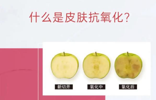 想要抗老抗氧化吃什么東西好 抗氧化真的可以變白嗎 想要抗老抗氧化吃什么東西好 抗氧化真的可以變白嗎