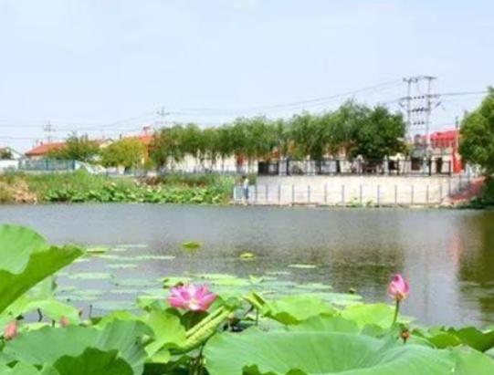 湖南十大小鎮排行榜,芙蓉鎮歷史悠久、大瑤鎮經濟發展速度快 湖南十大小鎮排行榜,芙蓉鎮歷史悠久、大瑤鎮經濟發展速度快