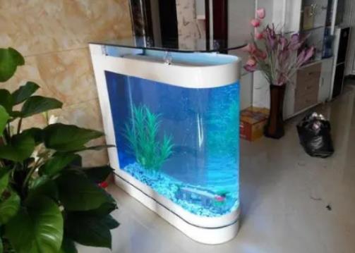 魚養多大有靈氣?一米的魚缸一個月用多少電 魚養多大有靈氣?一米的魚缸一個月用多少電
