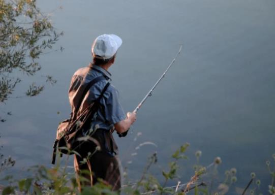 新手釣魚(yú)怎么看魚(yú)上鉤?野釣上魚(yú)率高是幾點(diǎn) 新手釣魚(yú)怎么看魚(yú)上鉤?野釣上魚(yú)率高是幾點(diǎn)