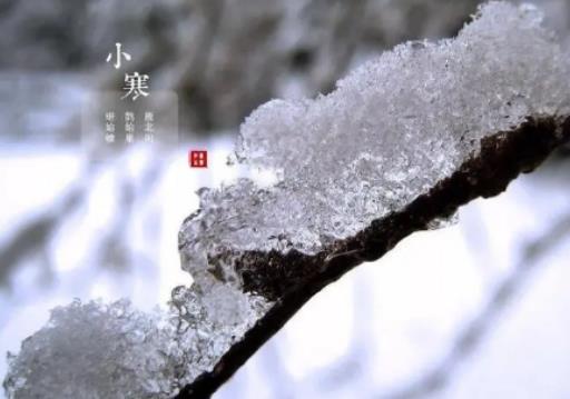 2024年小寒是二九還是三九?2024小寒不冷春節冷嗎 2024年小寒是二九還是三九?2024小寒不冷春節冷嗎