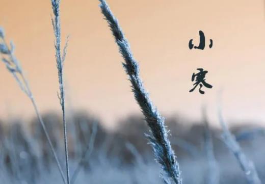 小寒離春節還有多少天?2024年小寒冷嗎 小寒離春節還有多少天?2024年小寒冷嗎