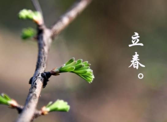 2024年立春是幾九第幾天?冬至換太歲還是立春換太歲 2024年立春是幾九第幾天?冬至換太歲還是立春換太歲