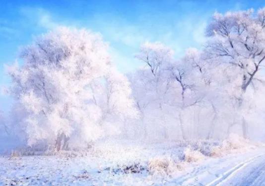 12月初去吉林能看到霧凇嗎?2024年吉林市霧凇冰雪節幾號開始 12月初去吉林能看到霧凇嗎?2024年吉林市霧凇冰雪節幾號開始