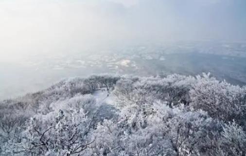 冬天去南京適合嗎?什么時候南京可以看到雪 冬天去南京適合嗎?什么時候南京可以看到雪
