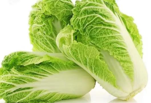 種白菜哪些是要注意的?自己種白菜什么樣的種子好 種白菜哪些是要注意的?自己種白菜什么樣的種子好