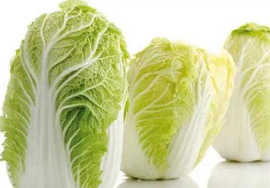 白菜噴醋提高產量有什么說法?白菜噴醋的技巧 白菜噴醋提高產量有什么說法?白菜噴醋的技巧