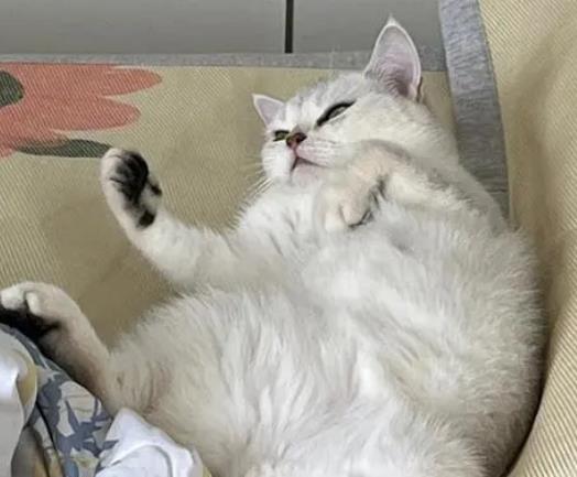 o؈ζҺô׌ό(sh)؈ɚqô