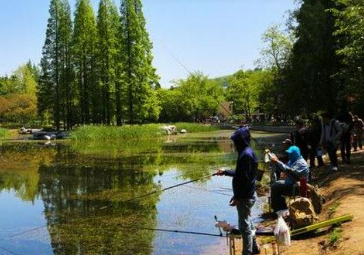 黑坑釣魚沒口怎么辦?夜釣魚餌最好怎么調(diào) 黑坑釣魚沒口怎么辦?夜釣魚餌最好怎么調(diào)