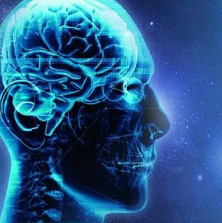 十大全腦開發加盟品牌排行榜,世紀全腦開發教育專注培養孩子全方位發展 十大全腦開發加盟品牌排行榜,世紀全腦開發教育專注培養孩子全方位發展