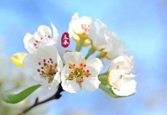 為什么要躲春?立春當(dāng)天為什么要躲春 為什么要躲春?立春當(dāng)天為什么要躲春