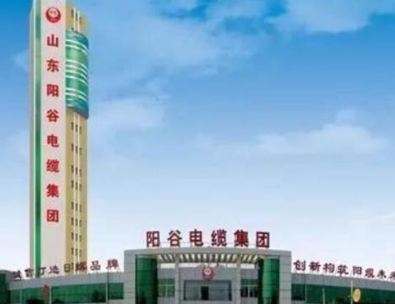 中國十大電纜廠家排名,寶勝電纜質量好、勝華電纜令人安心 中國十大電纜廠家排名,寶勝電纜質量好、勝華電纜令人安心