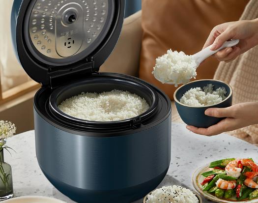 電飯煲什么加熱方式好一點?電飯煲什么內(nèi)膽最好最健康 電飯煲什么加熱方式好一點?電飯煲什么內(nèi)膽最好最健康
