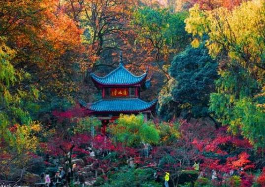 中國十大著名古亭排名,紹興蘭亭風(fēng)景區(qū)幽靜雅致、滁州醉翁亭不為人所忘 中國十大著名古亭排名,紹興蘭亭風(fēng)景區(qū)幽靜雅致、滁州醉翁亭不為人所忘