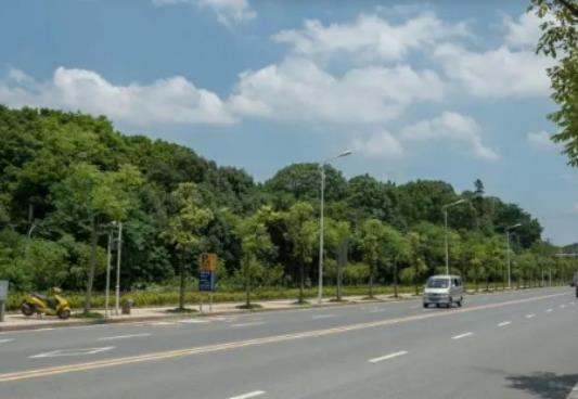 端午節武漢長江大橋外地車可以開車去嗎?武漢端午節天氣怎么樣 端午節武漢長江大橋外地車可以開車去嗎?武漢端午節天氣怎么樣