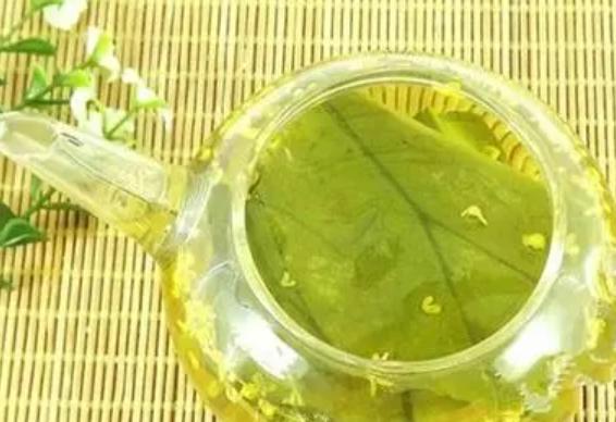 綠茶和荷葉茶的營養(yǎng)價值區(qū)別 綠茶和荷葉茶的吃法區(qū)別 綠茶和荷葉茶的營養(yǎng)價值區(qū)別 綠茶和荷葉茶的吃法區(qū)別