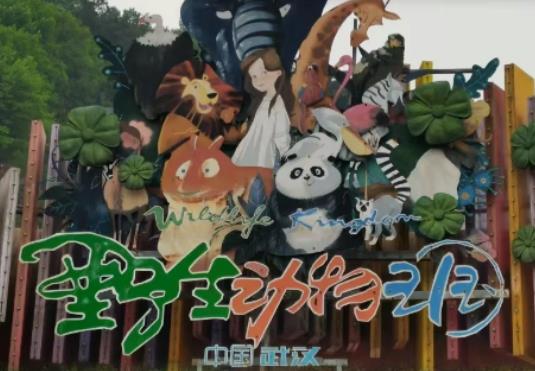 武漢野生動物王國值得去嗎?武漢野生動物王國可以喂動物嗎 武漢野生動物王國值得去嗎?武漢野生動物王國可以喂動物嗎