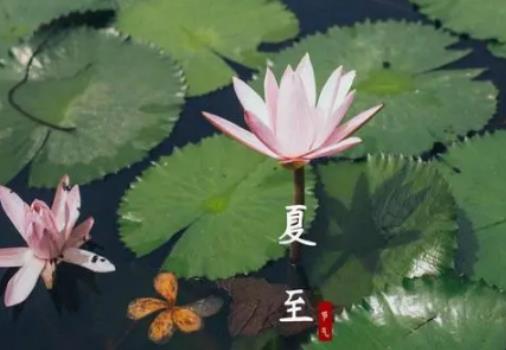 夏至后降雨量會怎么樣?夏至之后天氣有什么變化 夏至后降雨量會怎么樣?夏至之后天氣有什么變化