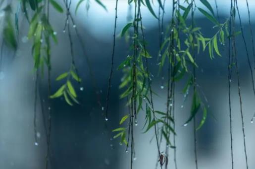 上海的梅雨季節是幾月到幾月?上海什么時候是梅雨季 上海的梅雨季節是幾月到幾月?上海什么時候是梅雨季