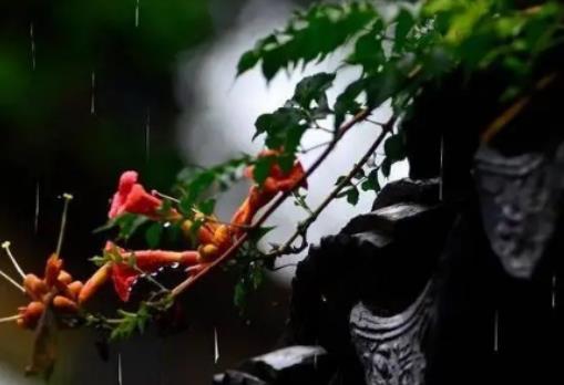 上海梅雨季節持續多久?上海2024年什么時候出梅 上海梅雨季節持續多久?上海2024年什么時候出梅