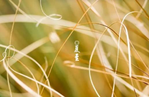 2024年夏至過(guò)后還會(huì)冷嗎?2024年夏至后雨水會(huì)多嗎 2024年夏至過(guò)后還會(huì)冷嗎?2024年夏至后雨水會(huì)多嗎